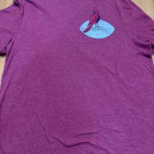 Nfl arizona cardinals established 1920